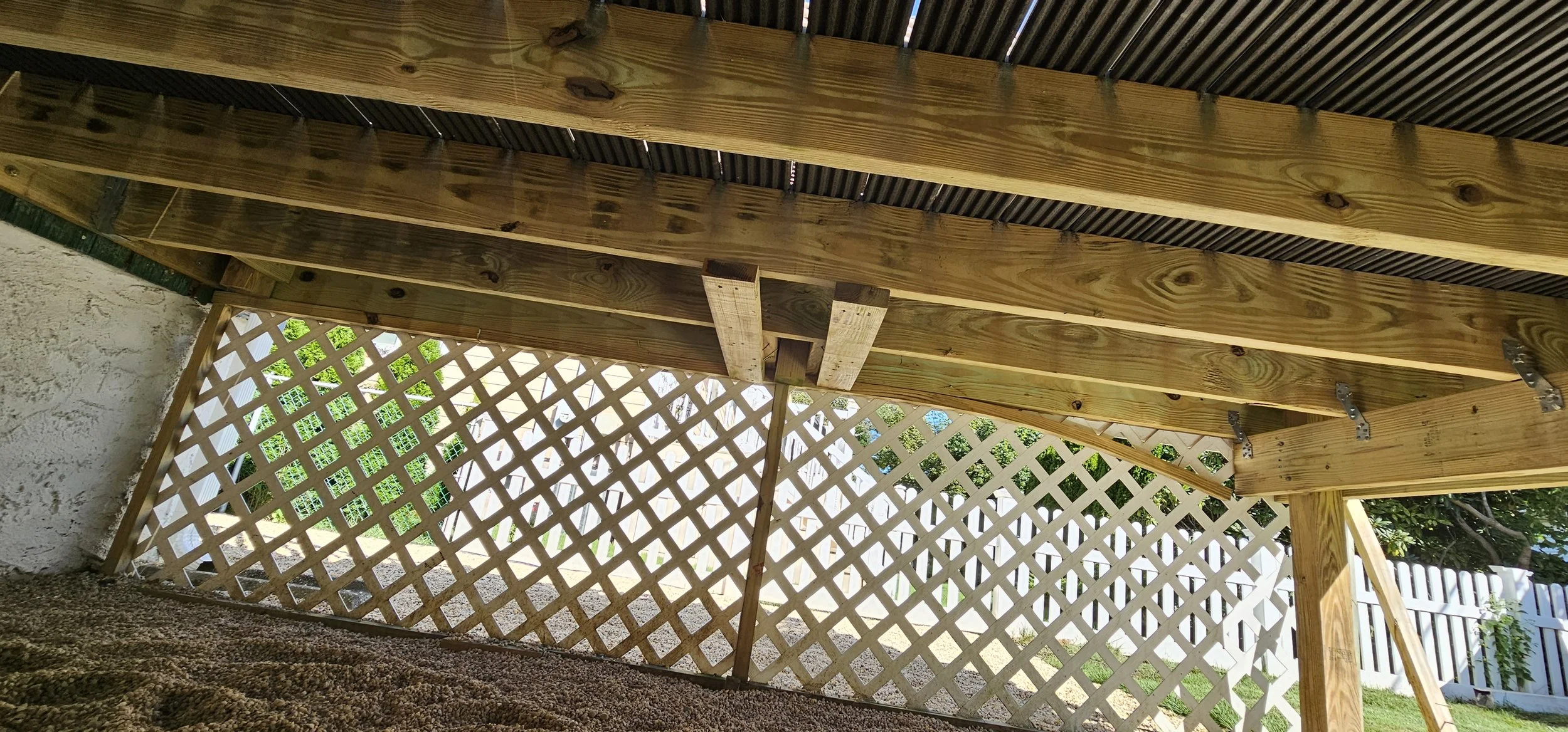 20230914_101910.jpg
