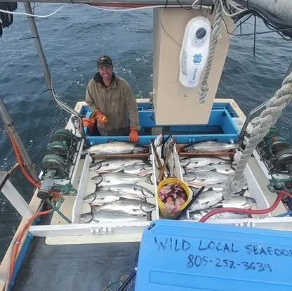 A man on a boat holding a fish, with a large catch of fish laid out on the boat's deck, including a yellow bucket and a blue cooler, and a sign that reads 'Wild Local Seafood' with a phone number.