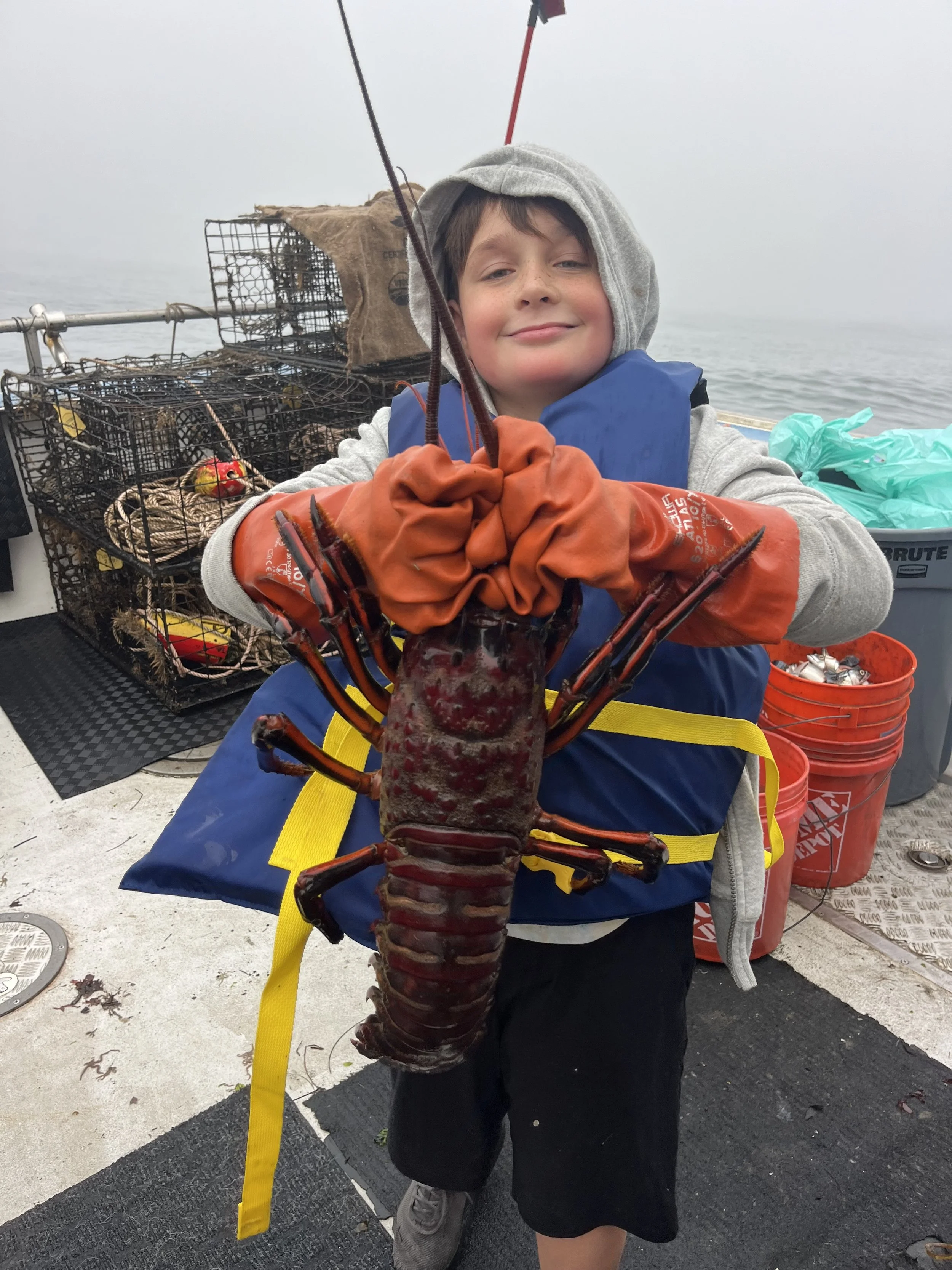 A young boy on a boat holding a large lobster with orange gloves, wearing a gray hoodie and blue life jacket, with trap cages and fishing gear in the background.
