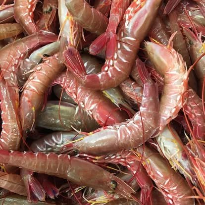 Fresh raw shrimp piled together at a seafood market or restaurant. 