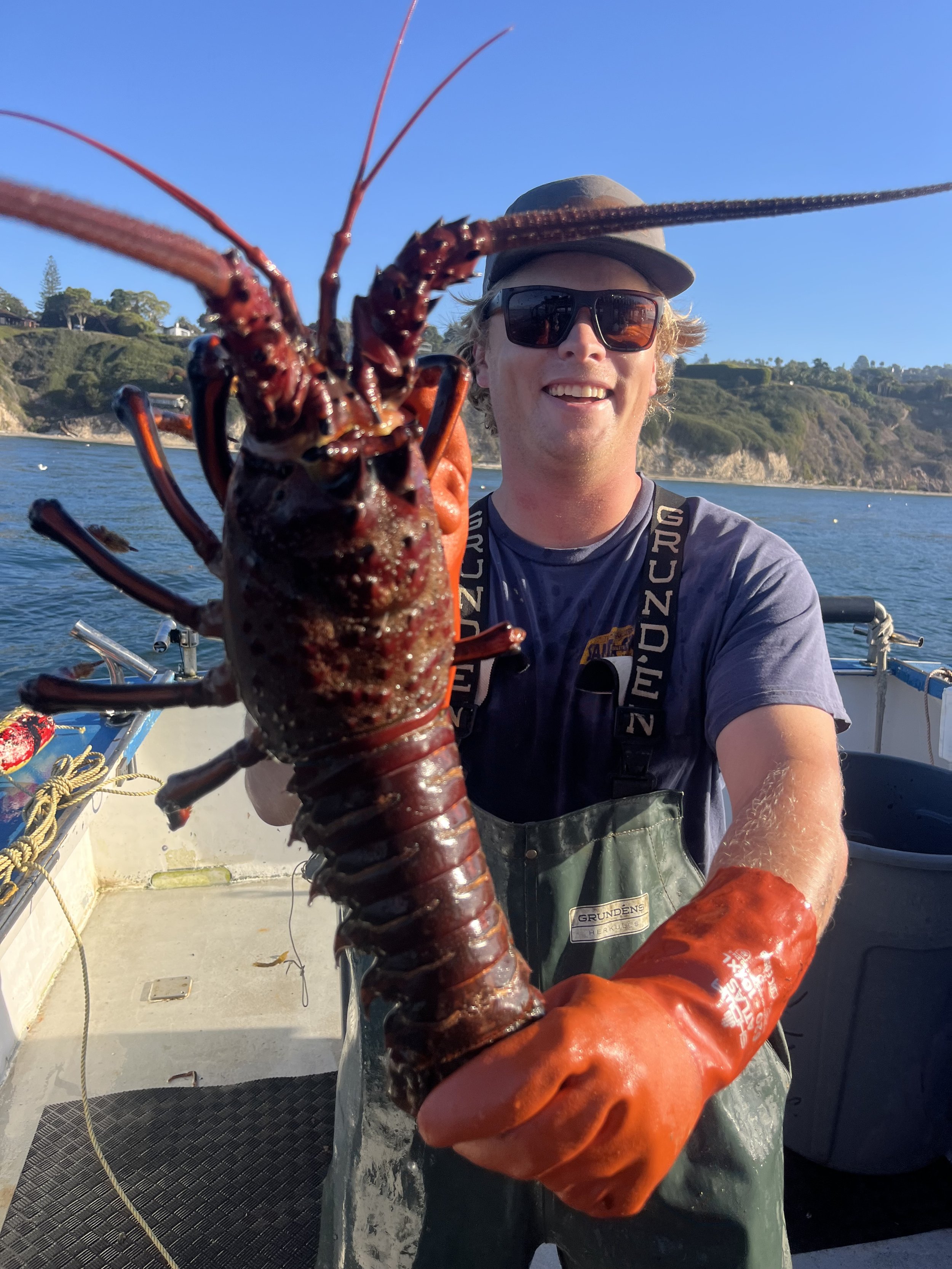 Man holding a large lobster on a boat with water and hills in the background.