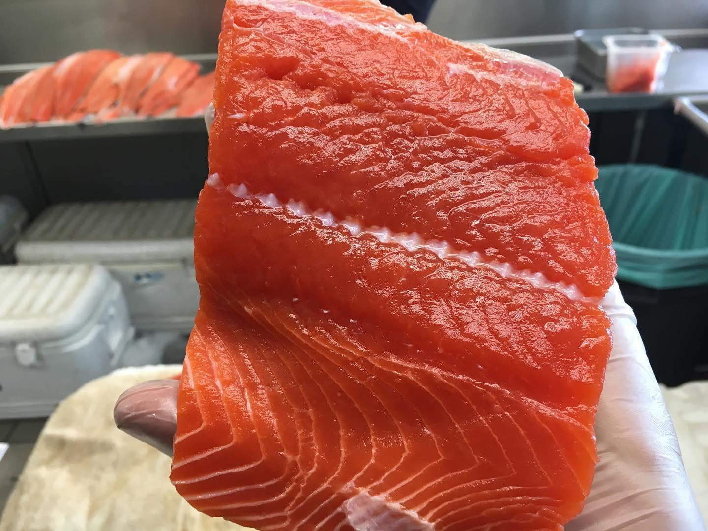 A thick slice of fresh, bright orange salmon fillet with visible marbling, held in a person's hand wearing a glove, in a setting with other pieces of salmon and containers in the background.