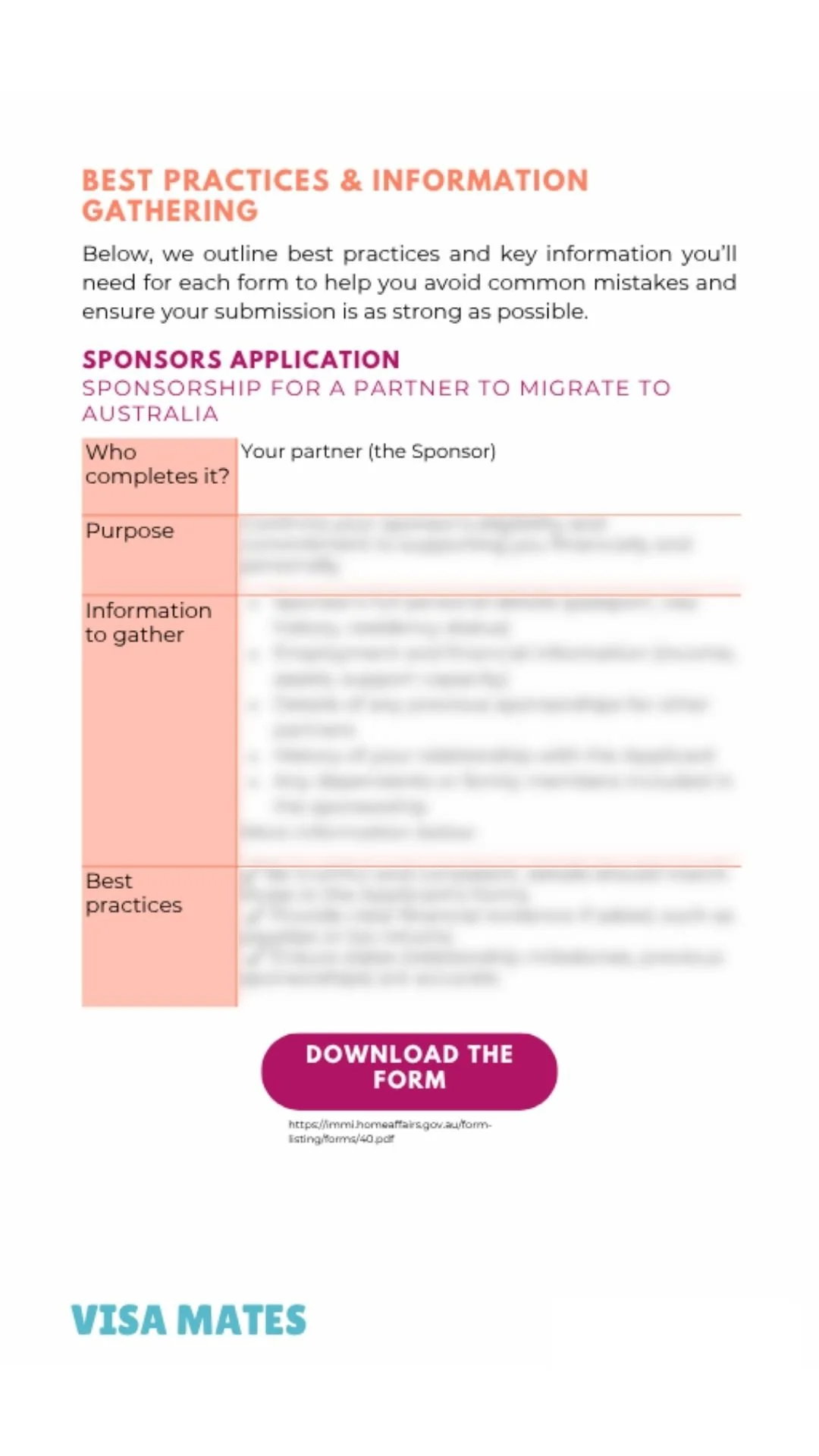 Visa Mate website graphics (6).jpg