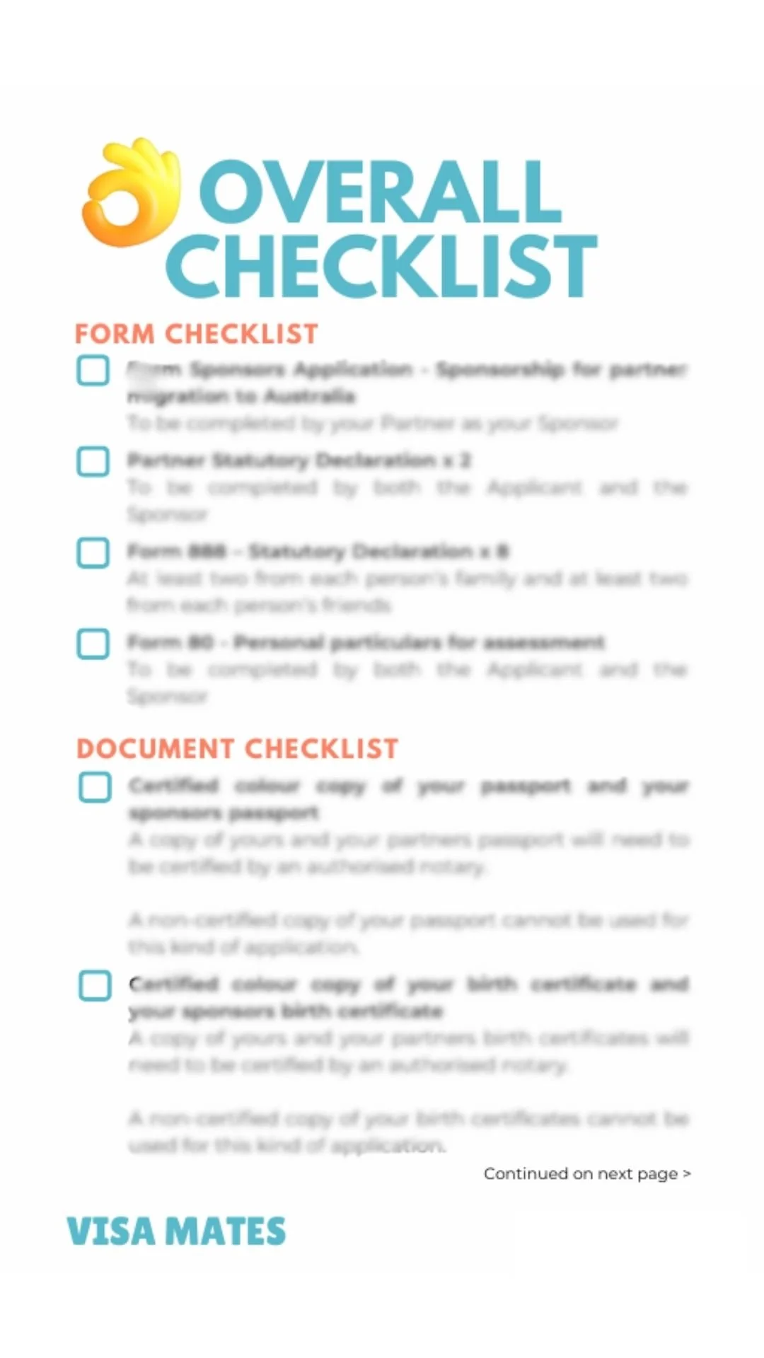 Visa Mate website graphics (7).jpg