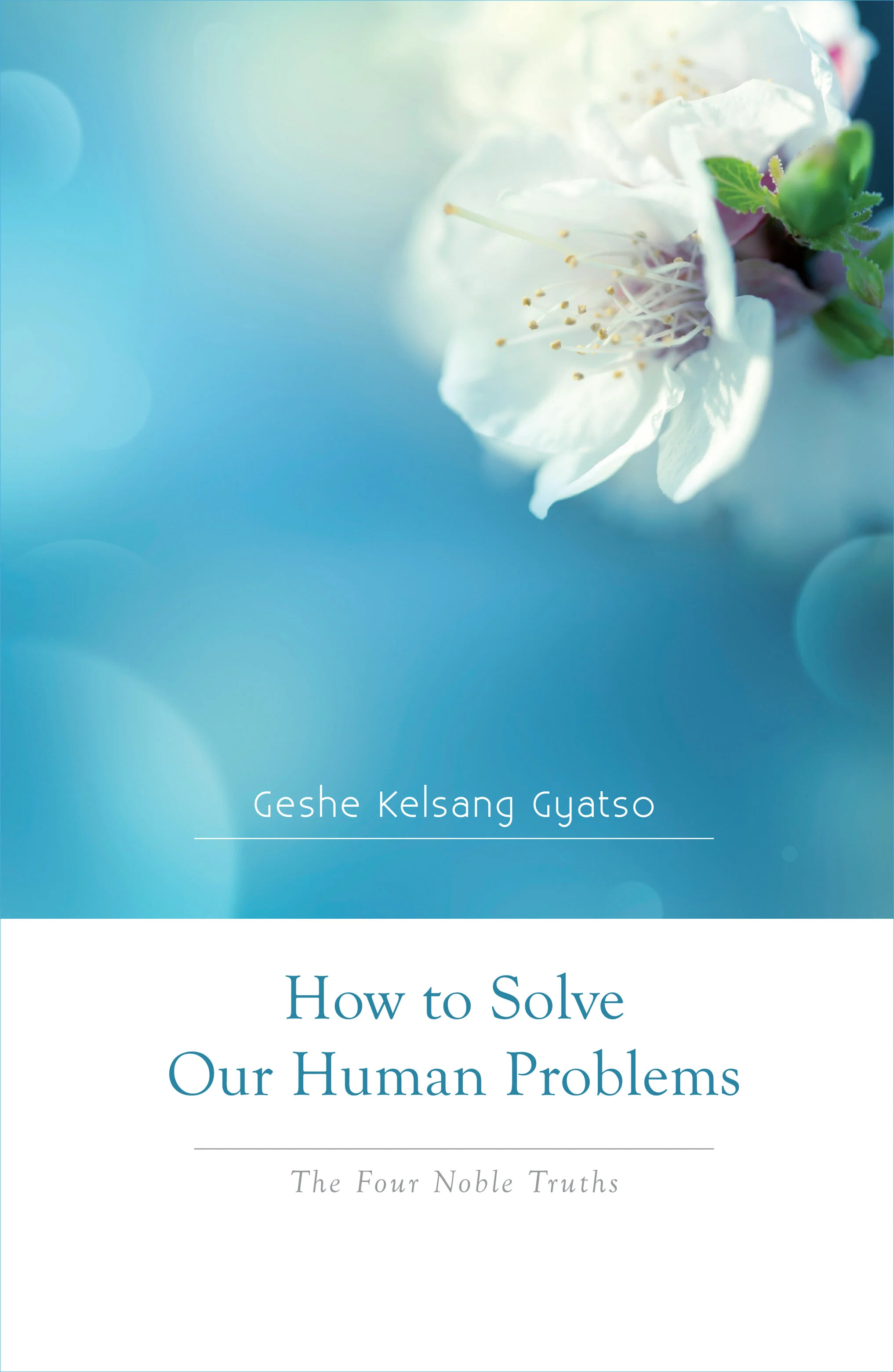 How to Solve Our Human Problems, by Geshe Kelsang Gyatso