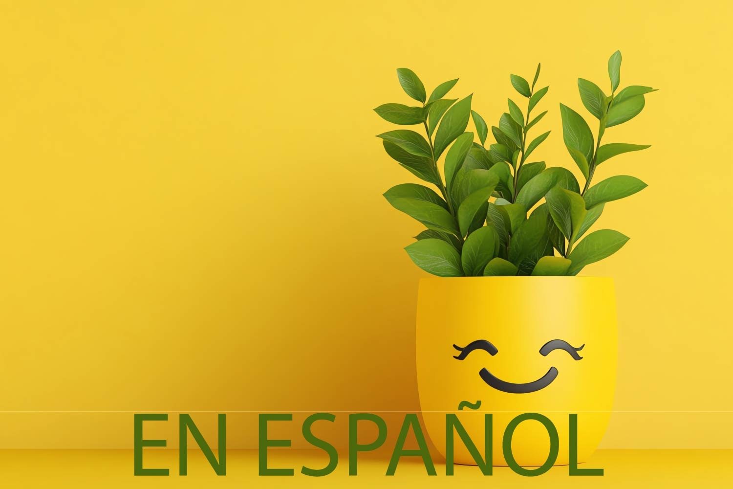 Domingos por la mañana en Dallas - ¿Qué es el pensamiento positivo? El arte budista de afrontar las situaciones de forma realista