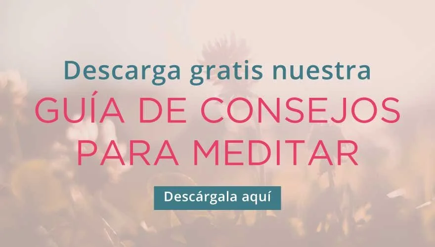 Advertisement in Spanish offering a free meditation guide with a background of soft-focus flowers and a button labeled 'Download here'