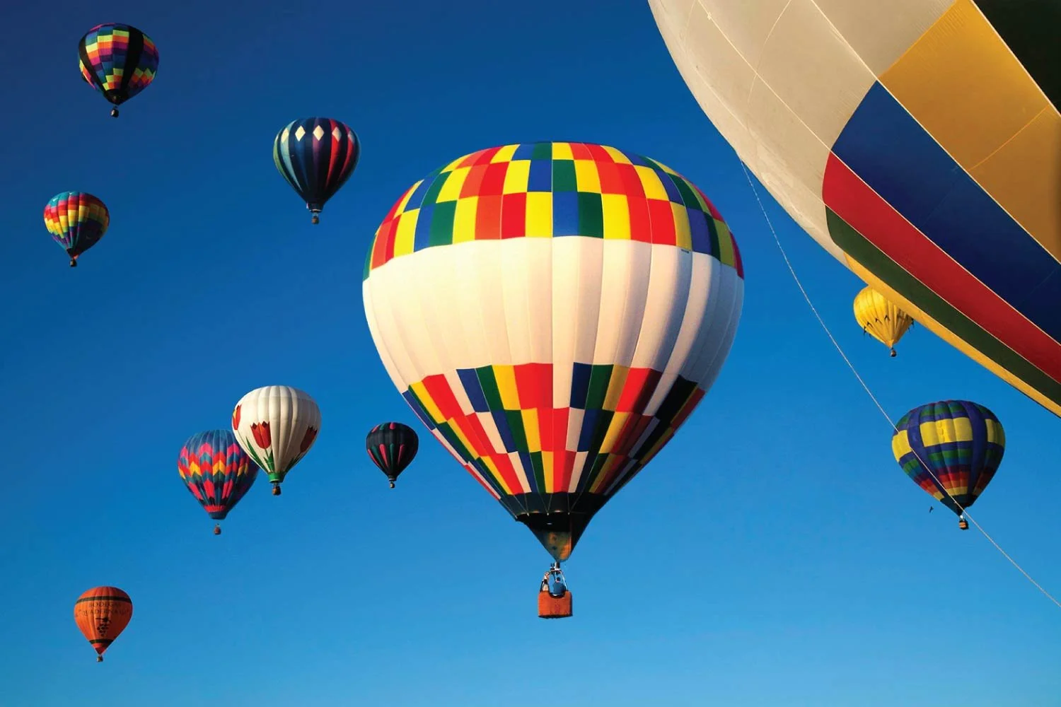 Hot air balloons in a clear sky