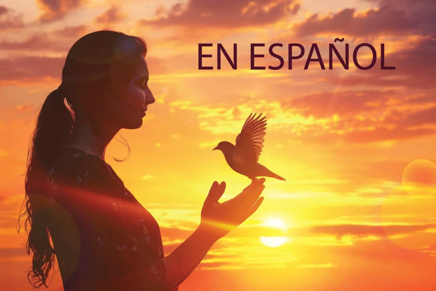 Silueta de una mujer soltando un pájaro al atardecer