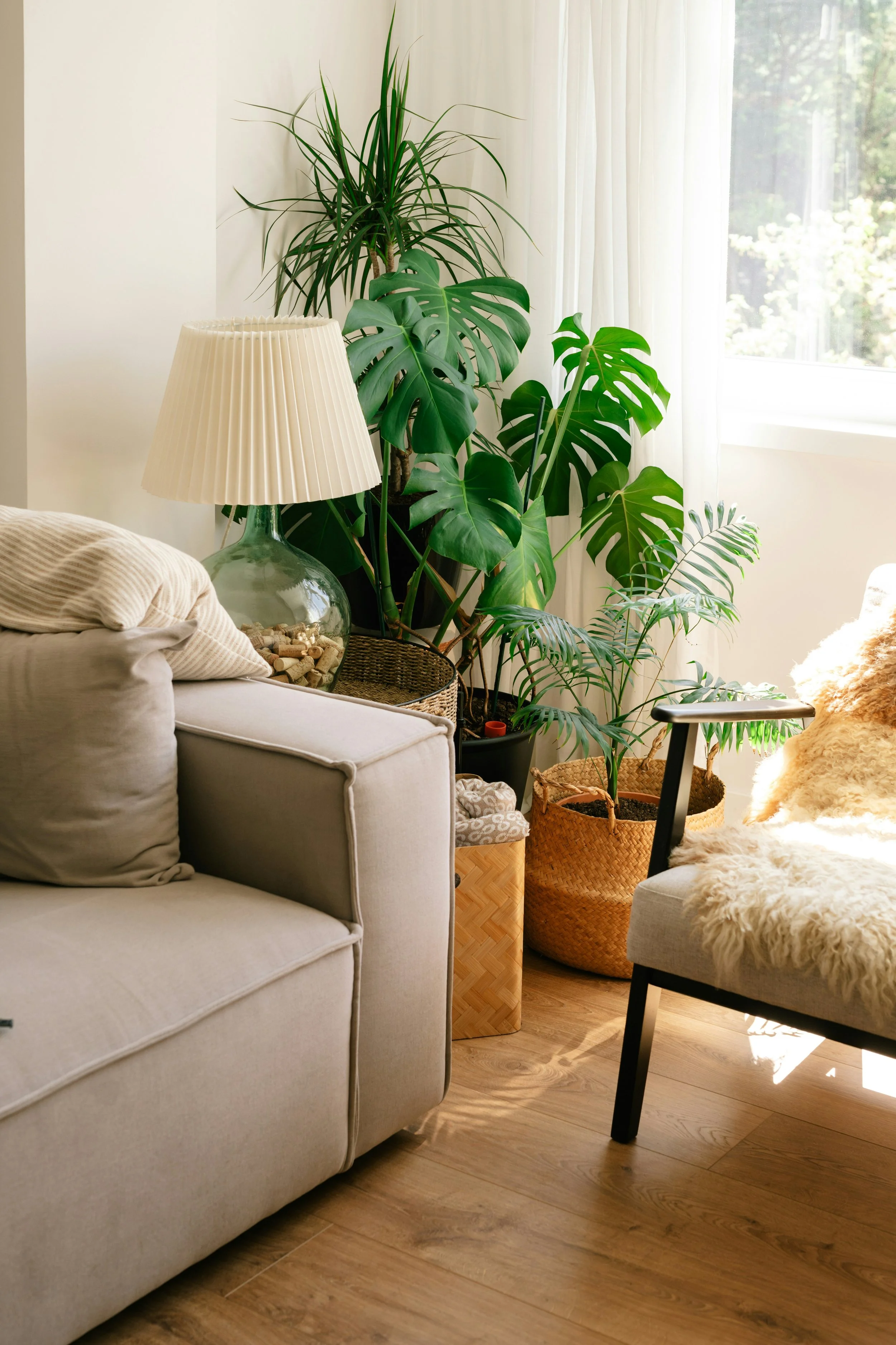 Living room corner with beige sofa, glass table with a white pleated lamp, various green houseplants in woven and plastic pots, wicker basket, and a chair with a faux fur throw near a window.