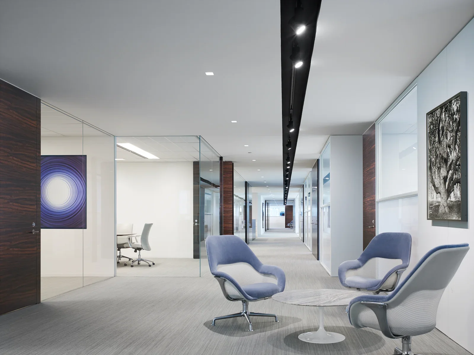 Suite1600.webp