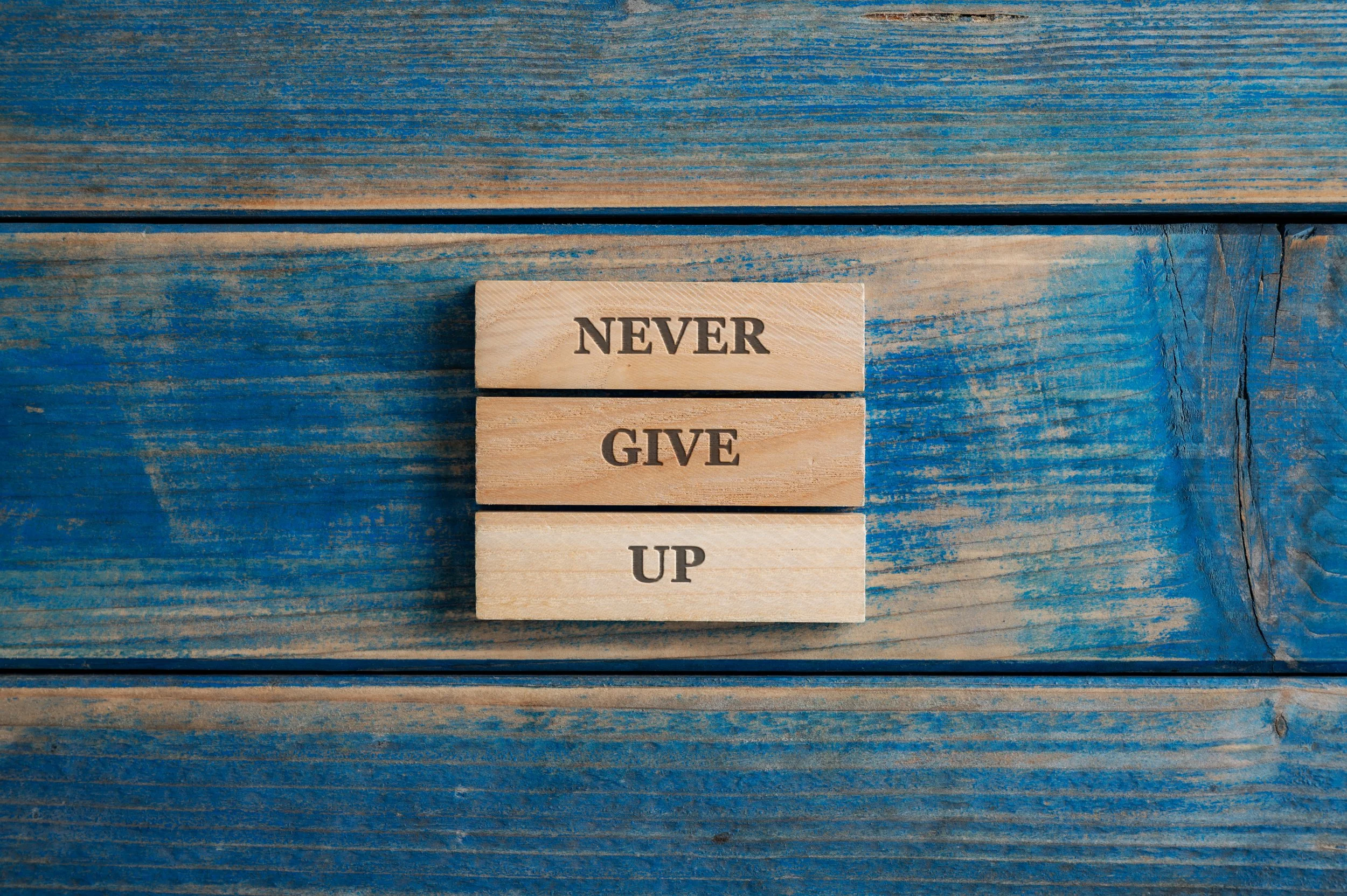 The #1 Success Habit - NEVER GIVE UP