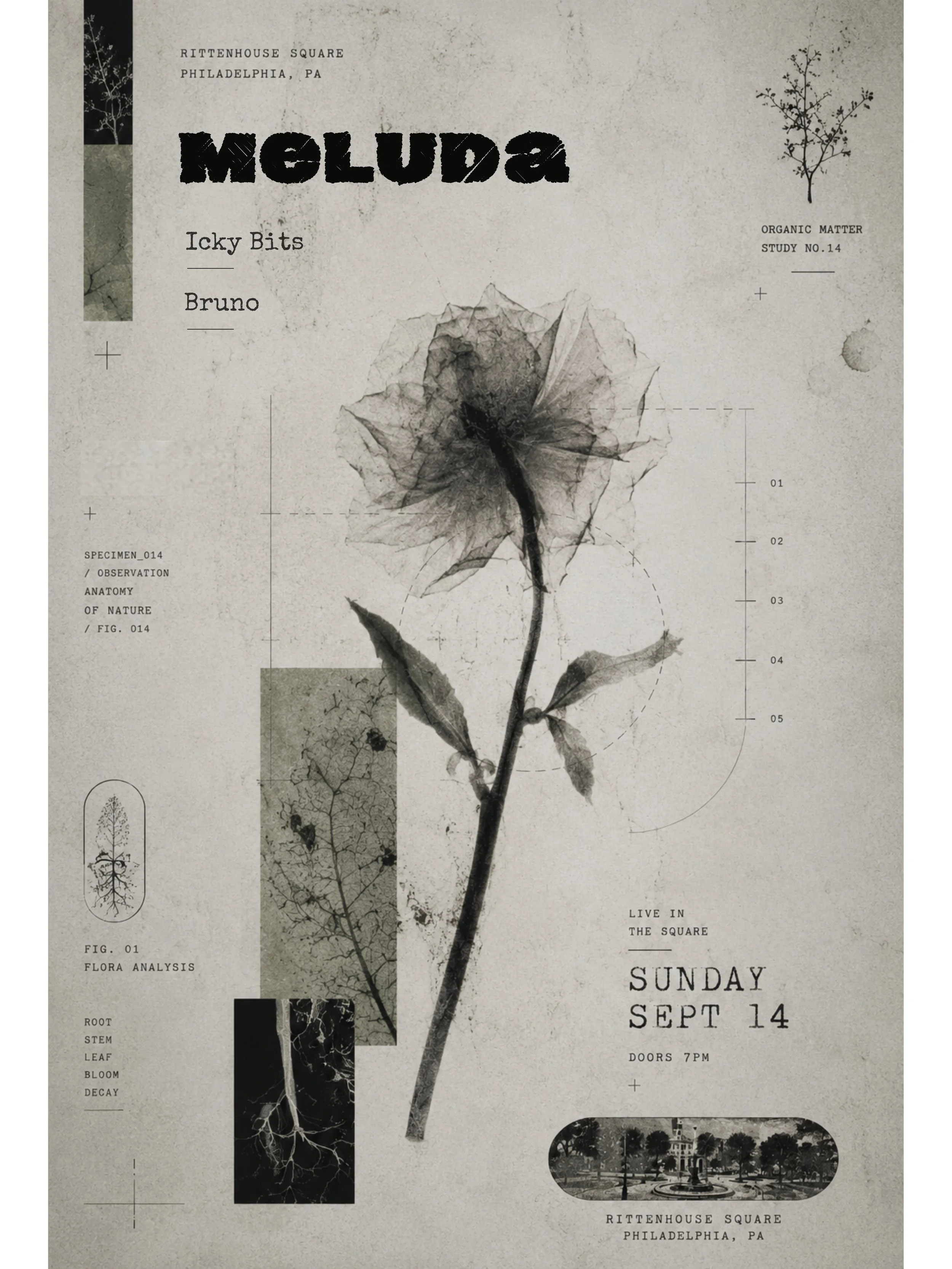 MELUDA Poster.jpg