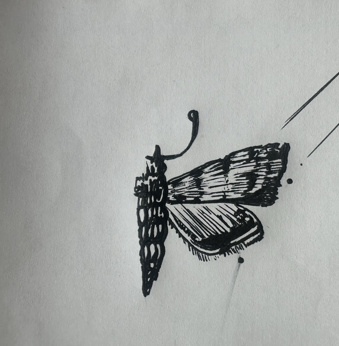 Screenshot 2026-01-30 at 2.19.43 PM.png