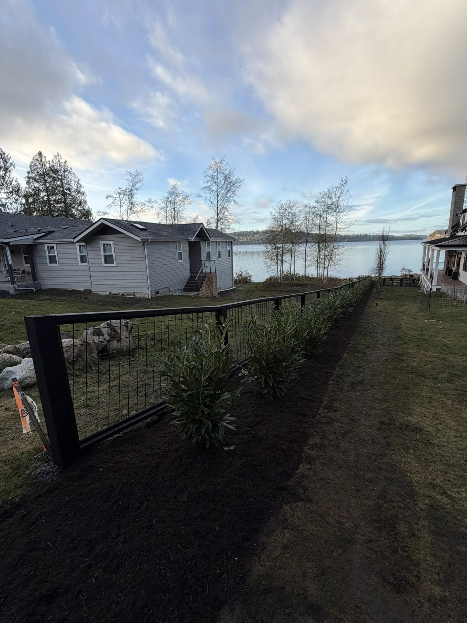 Landscape view of a backyard near a lake, with new planting along a black metal fence and houses in the background under a partly cloudy sky.