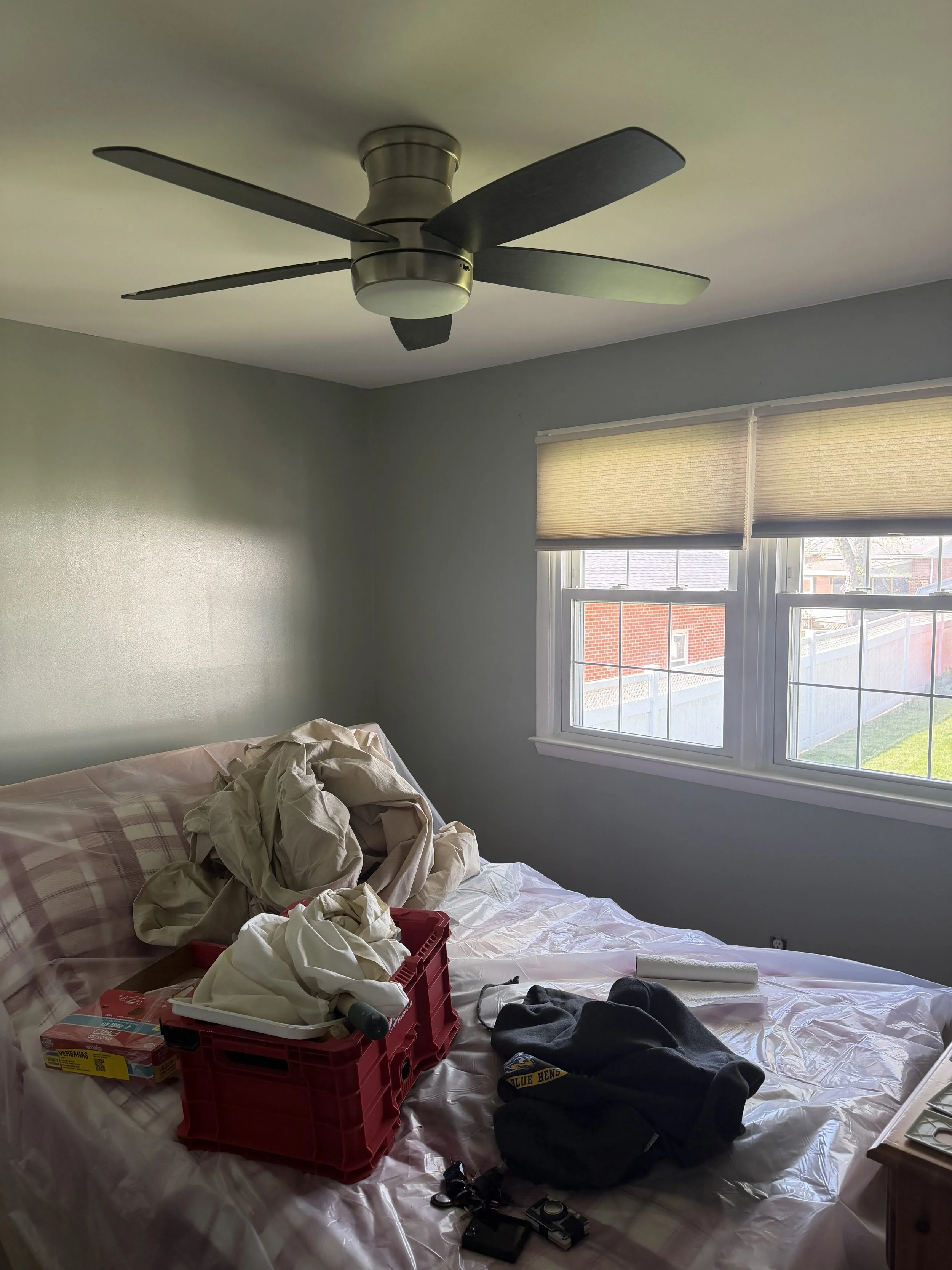 Bedroom and Closet Painting