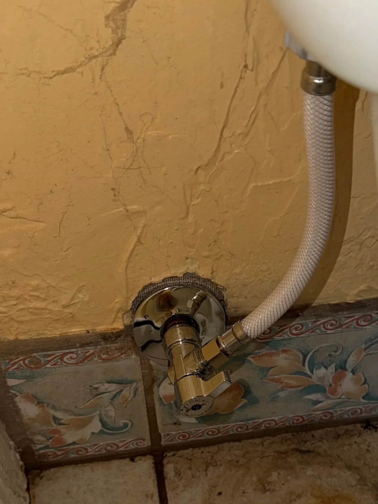 Leaky Valve and Toilet Fill Valve Replacement