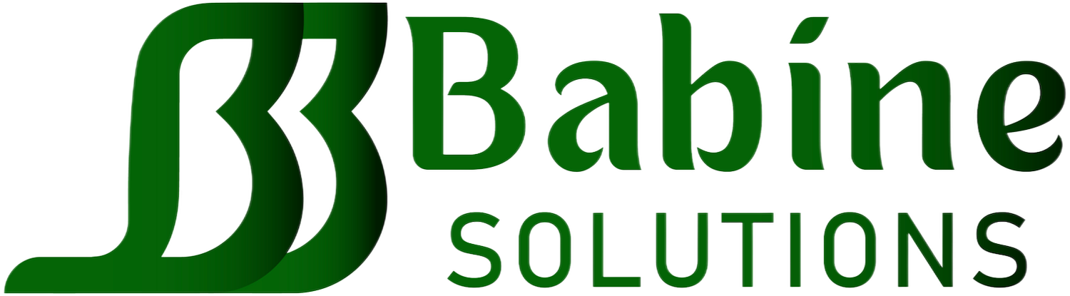 Babine Solutions, LLC