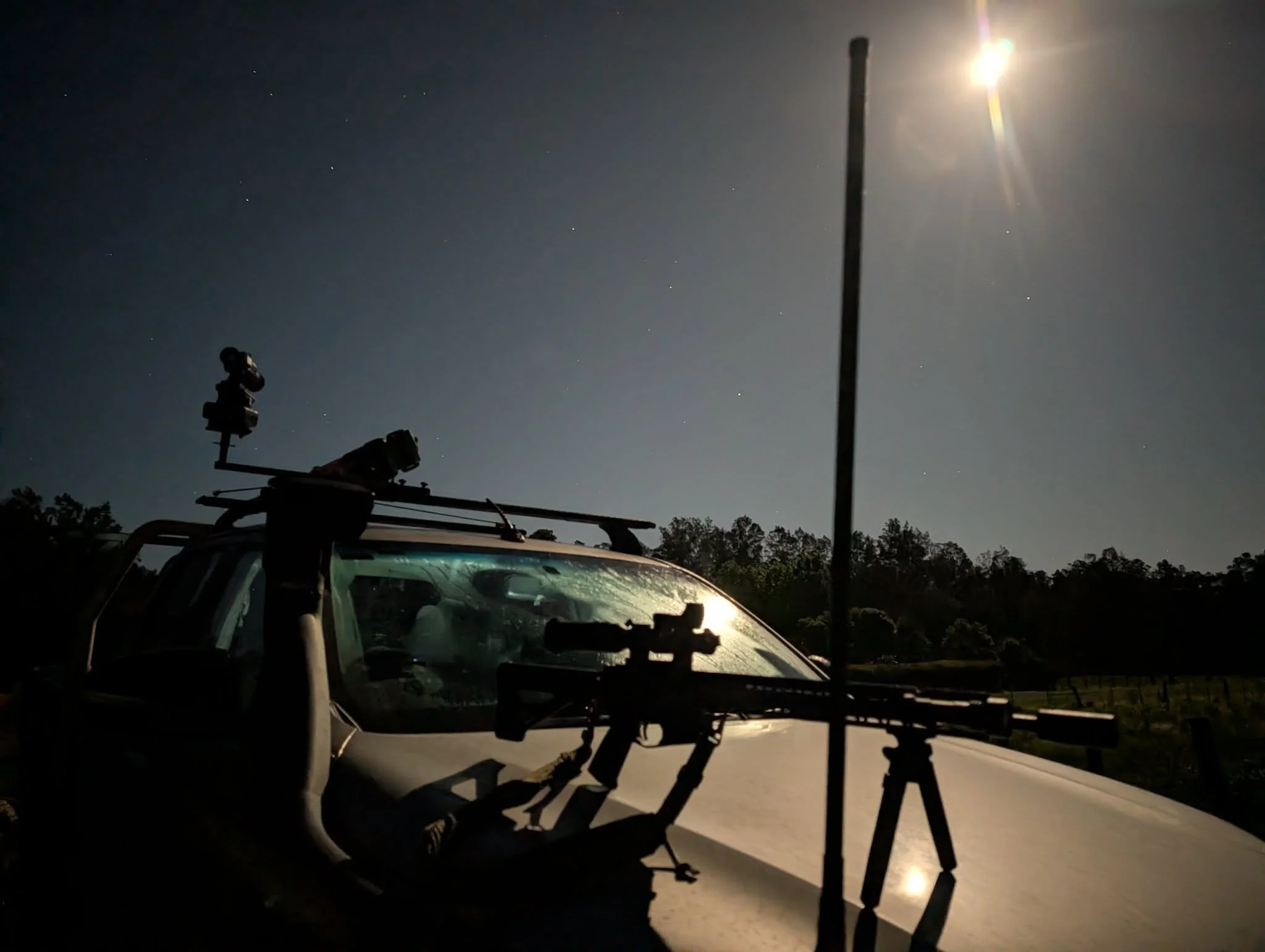 Vertebrae Pest Control Services - Day Rate