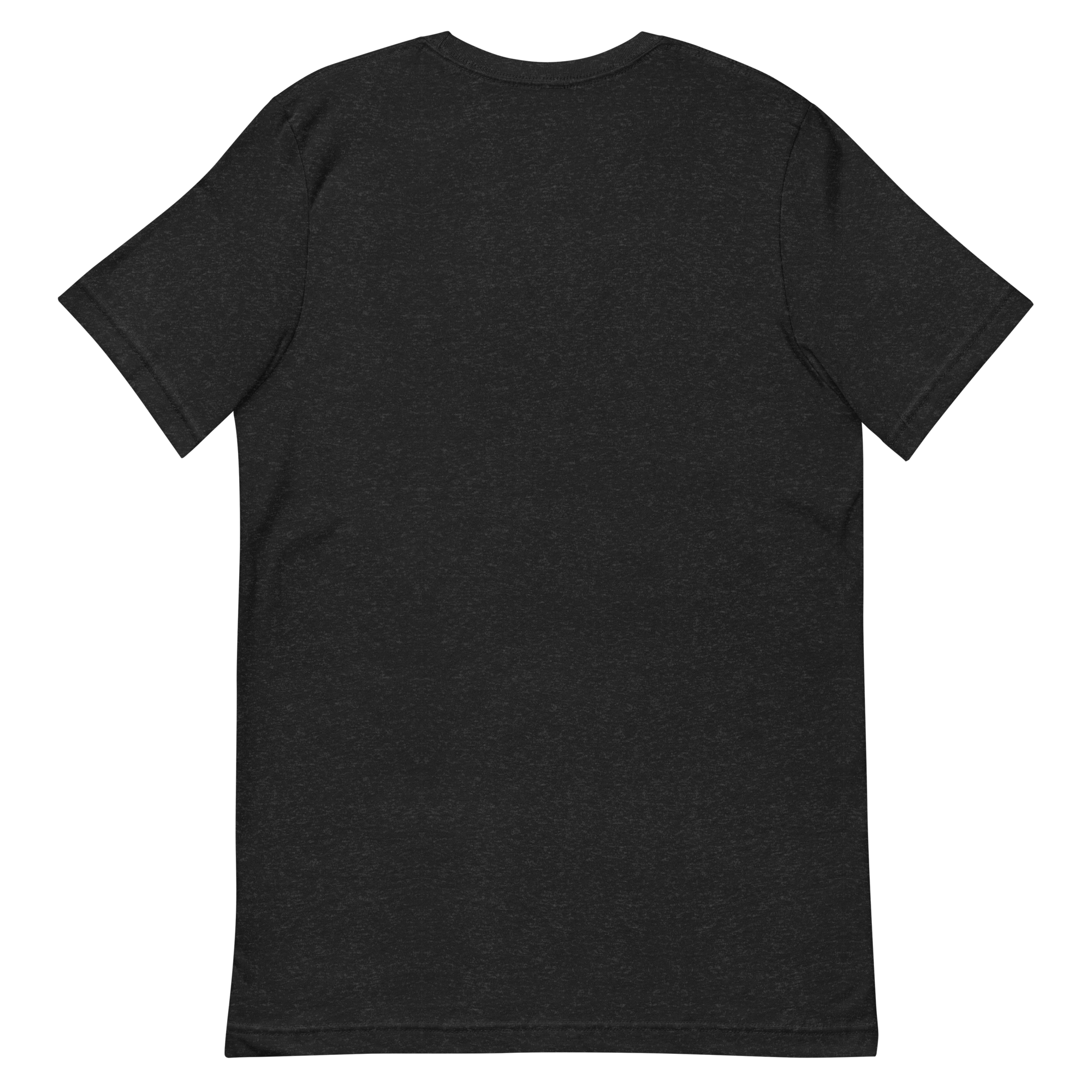 unisex-staple-t-shirt-black-heather-back-692cee860fd4c.png