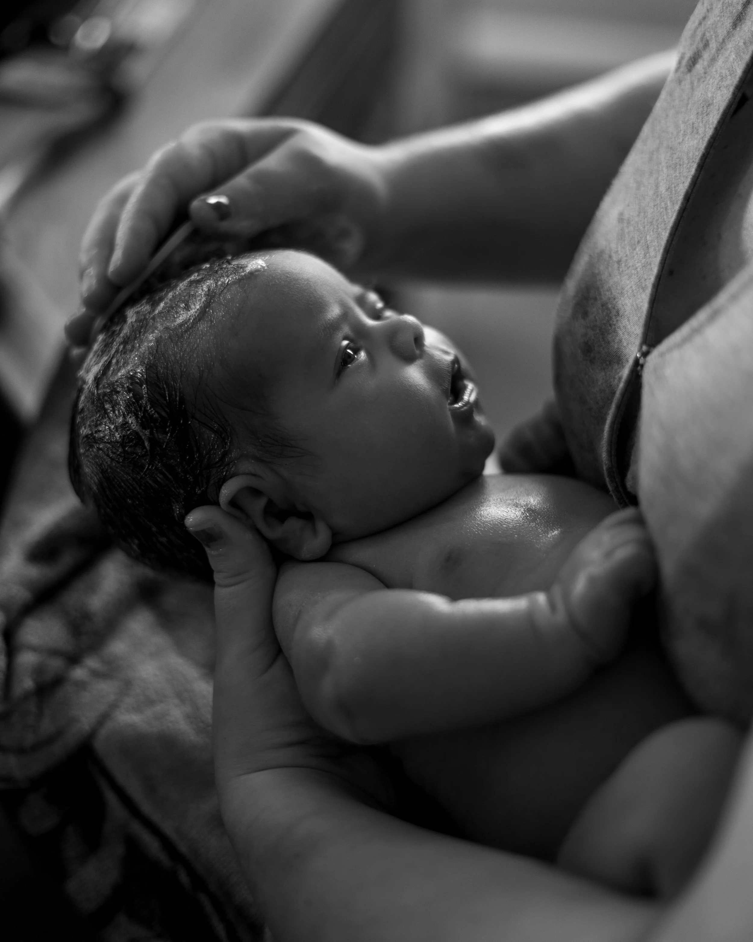 Black and white portrait of a new born baby being bathed in a sink. Photo taken in Austin Texas by Austin Texas photographer