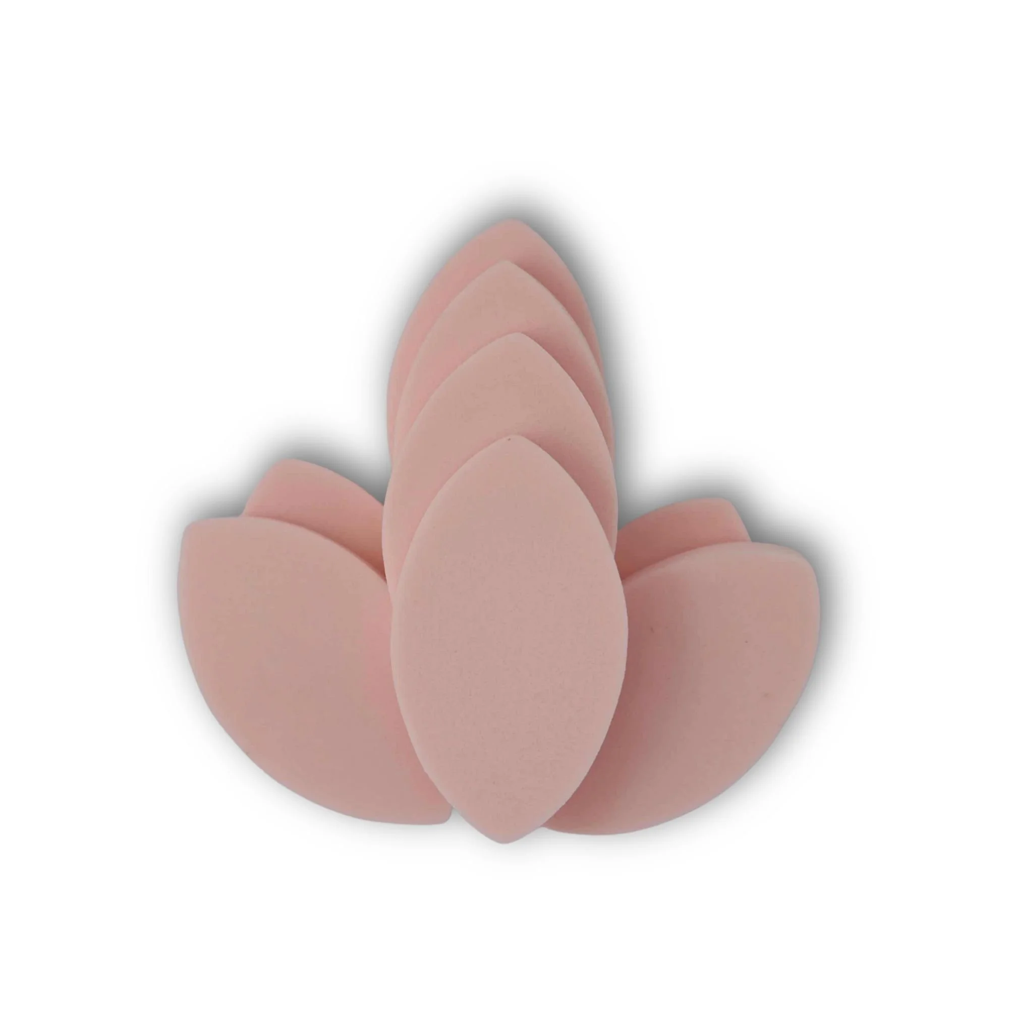 Lash Practise Sponge (5 pieces)