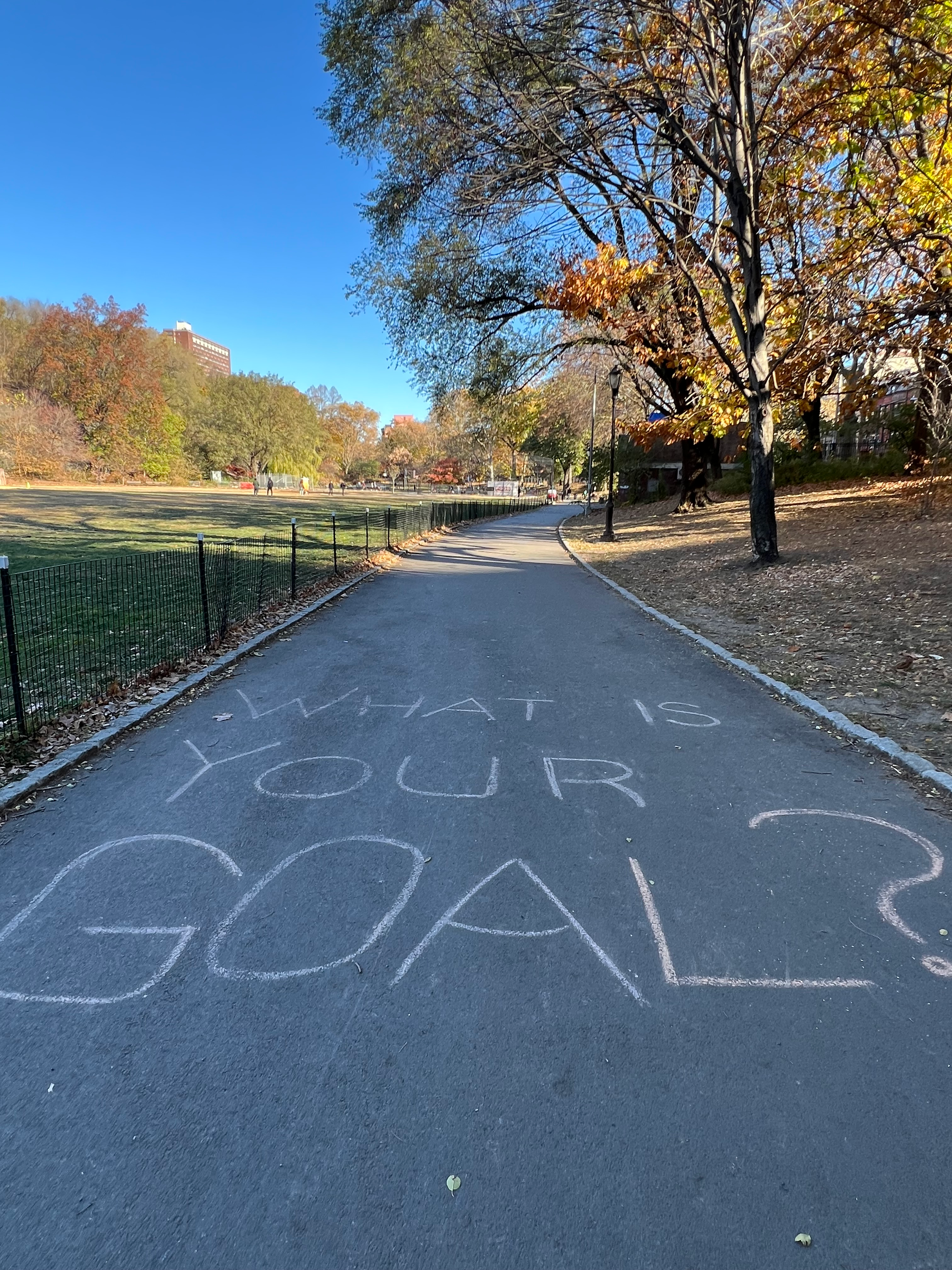 A paved pathway in a park with the words 'WHAT IS YOUR GOAL?' written in chalk on the pavement. The park has trees with autumn leaves and a clear blue sky.