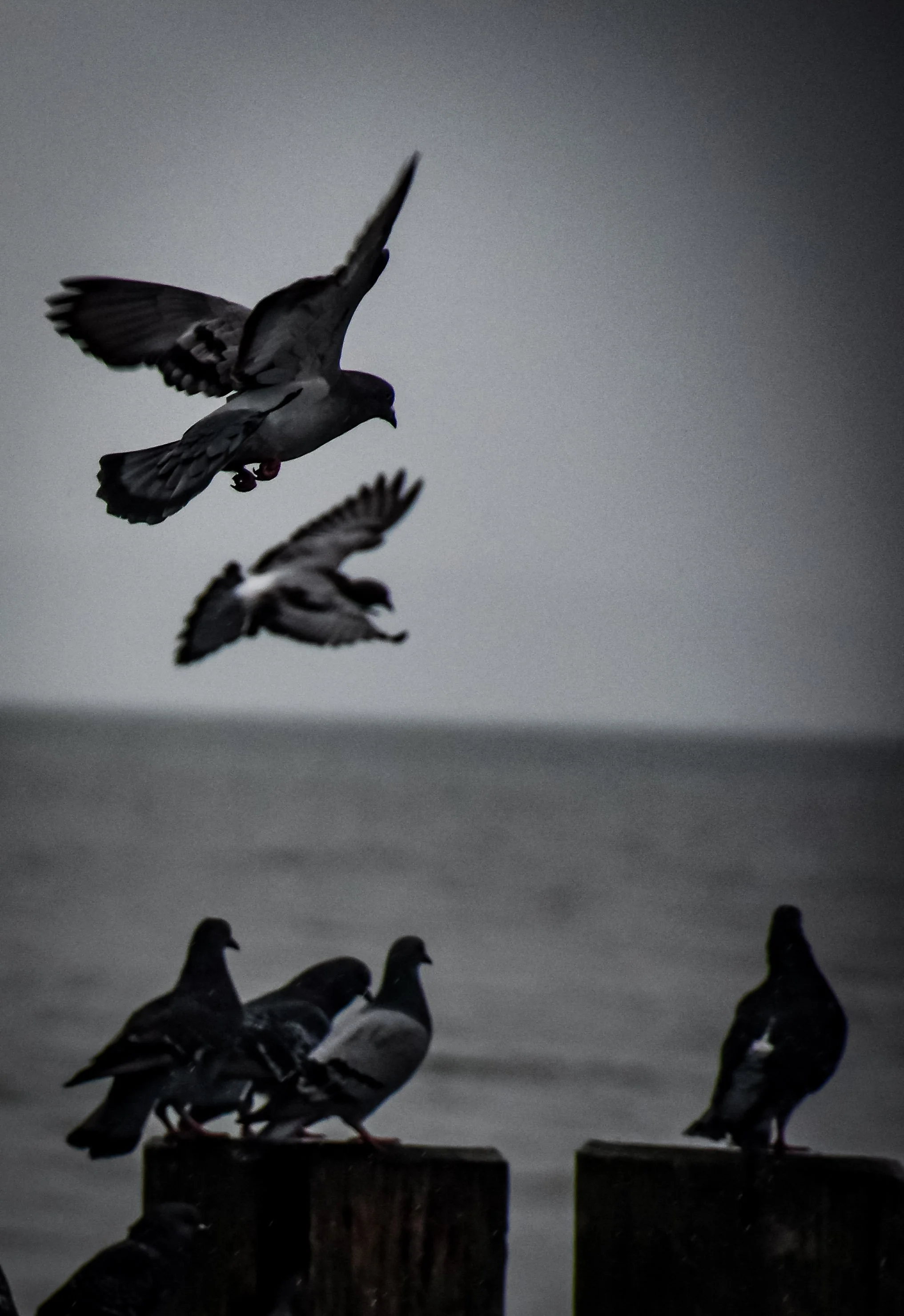 0711 - X20+X26