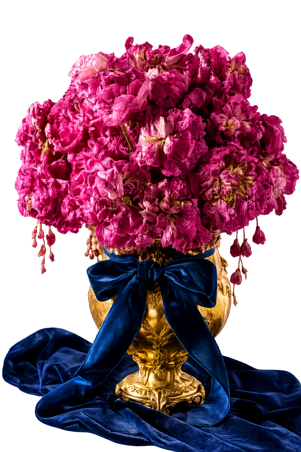 A lavish floral arrangement of bright pink flowers in a gold vase with a dark blue velvet ribbon tied around it, with matching blue velvet fabric draping around the vase.