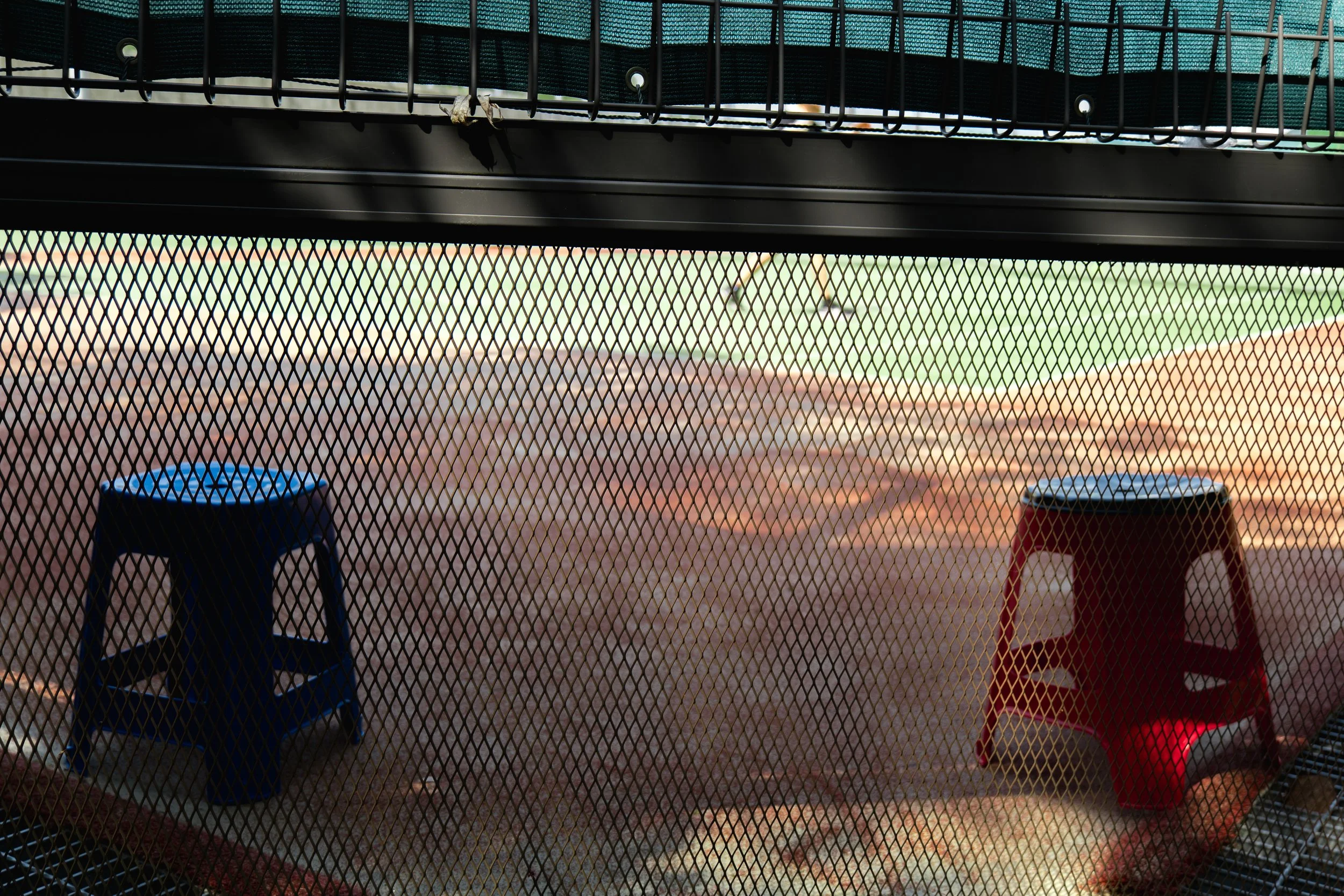 P1099373.JPG