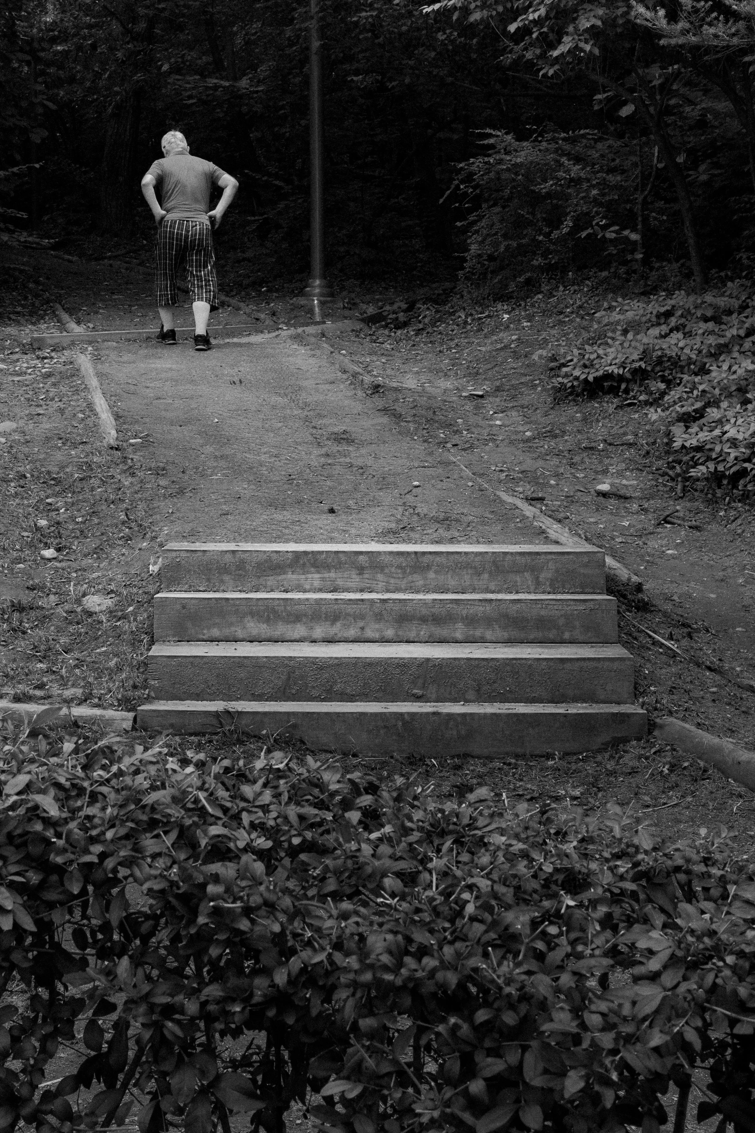 L1000886.JPG