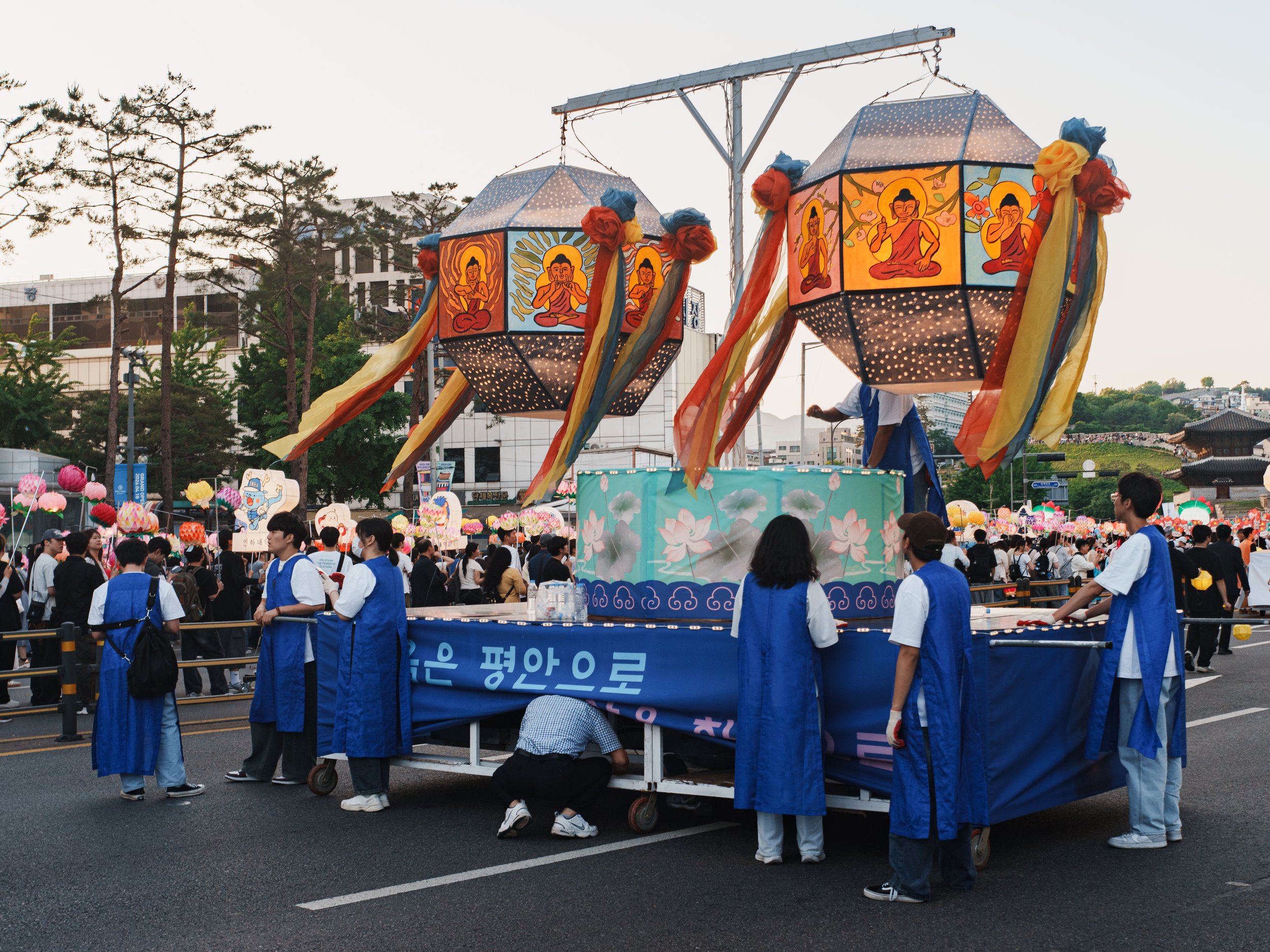 DSC08129 3.jpg