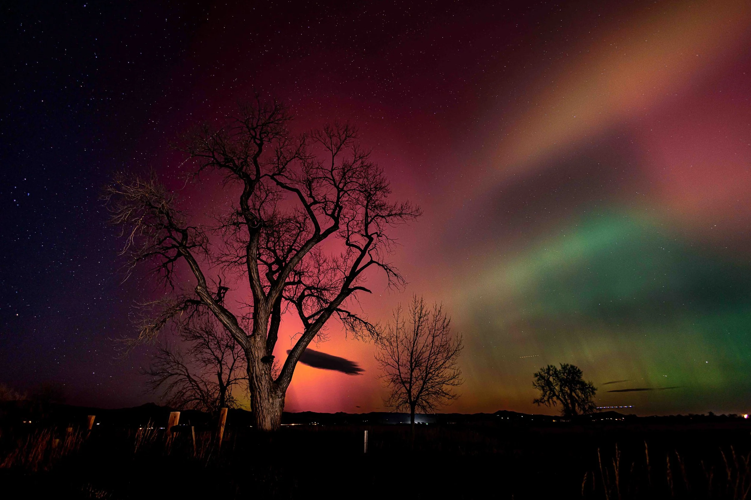 Night sky with the Aurora Borealis and stars, silhouetted leafless trees, and a colorful sunset or sunrise.