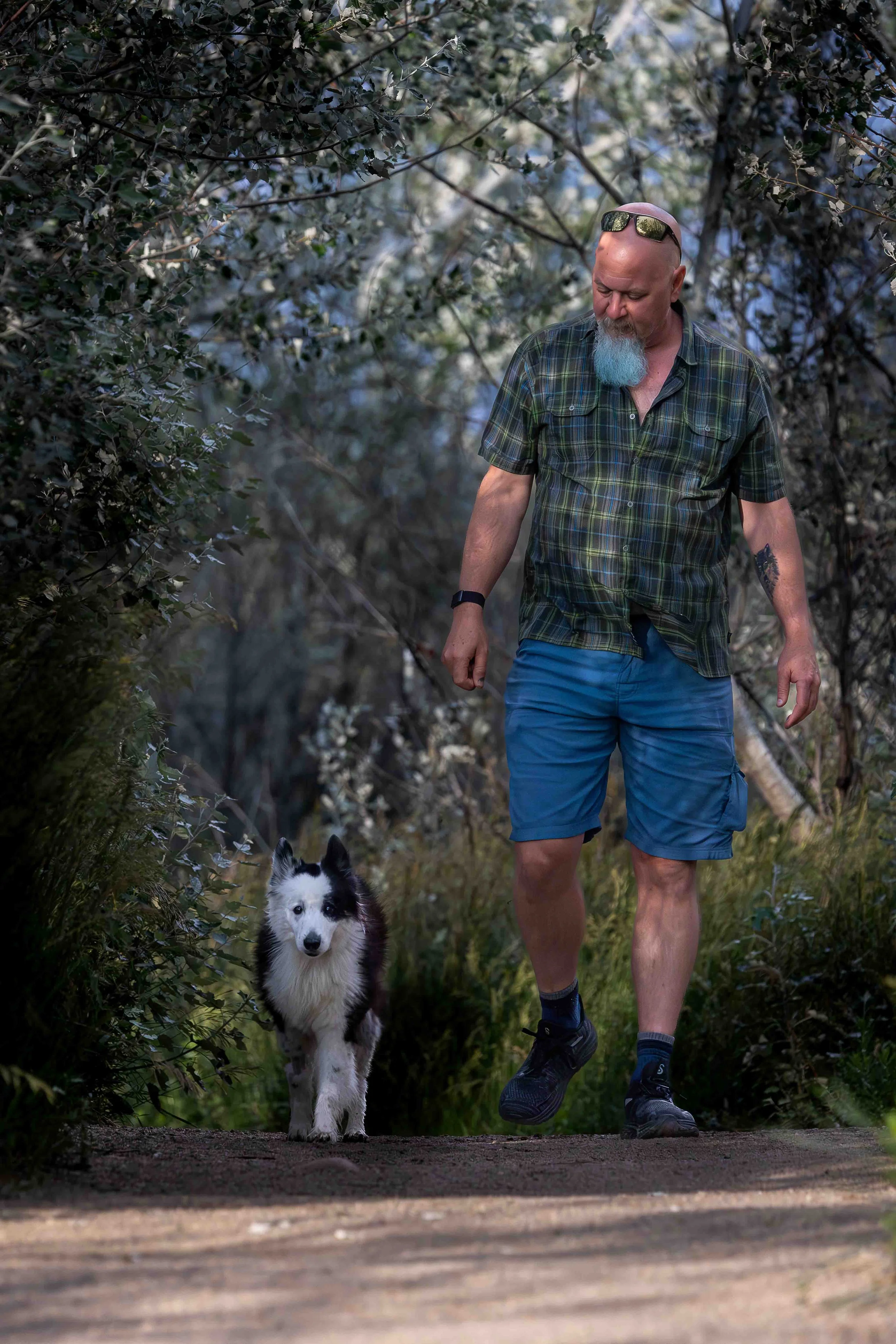A man walking with a black and white dog on a trail in a forested area.
