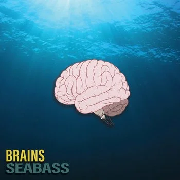 Illustration of a human brain underwater with the text 'BraINS SEABASS'