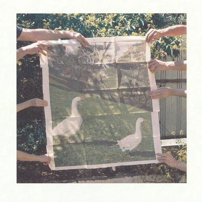 Four people are holding up a large fabric print of two swans in a grassy area outdoors, with a garden and fence in the background.