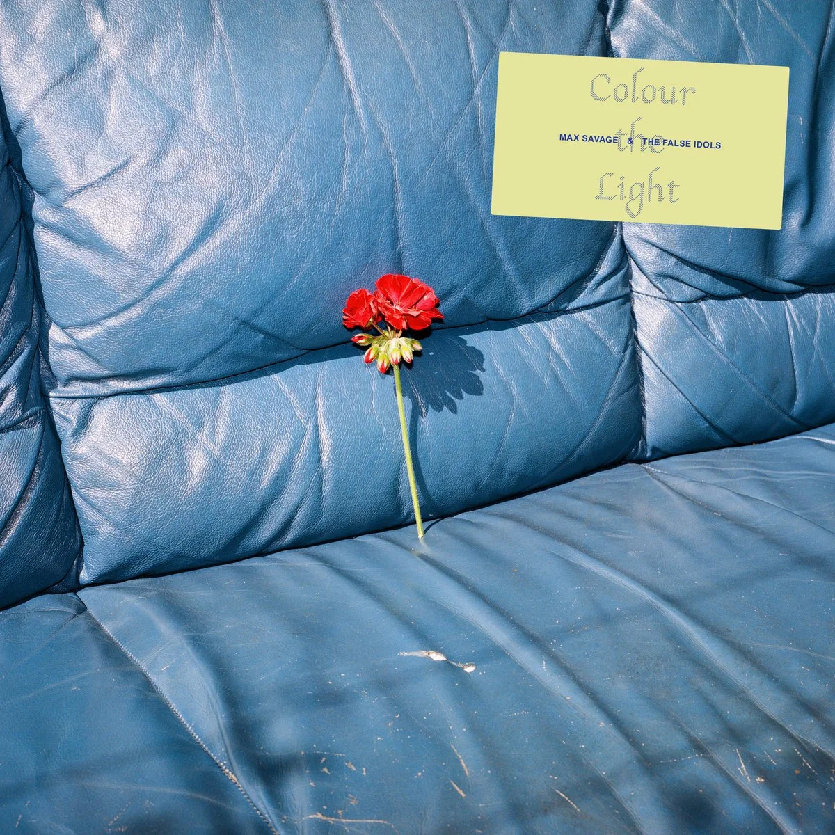 A single red flower and some buds resting on a blue leather couch with a light green note card attached, with handwritten text 'Colour & Light' and printed text 'MAX SAVAGE & THE FALSE IDOLS'.