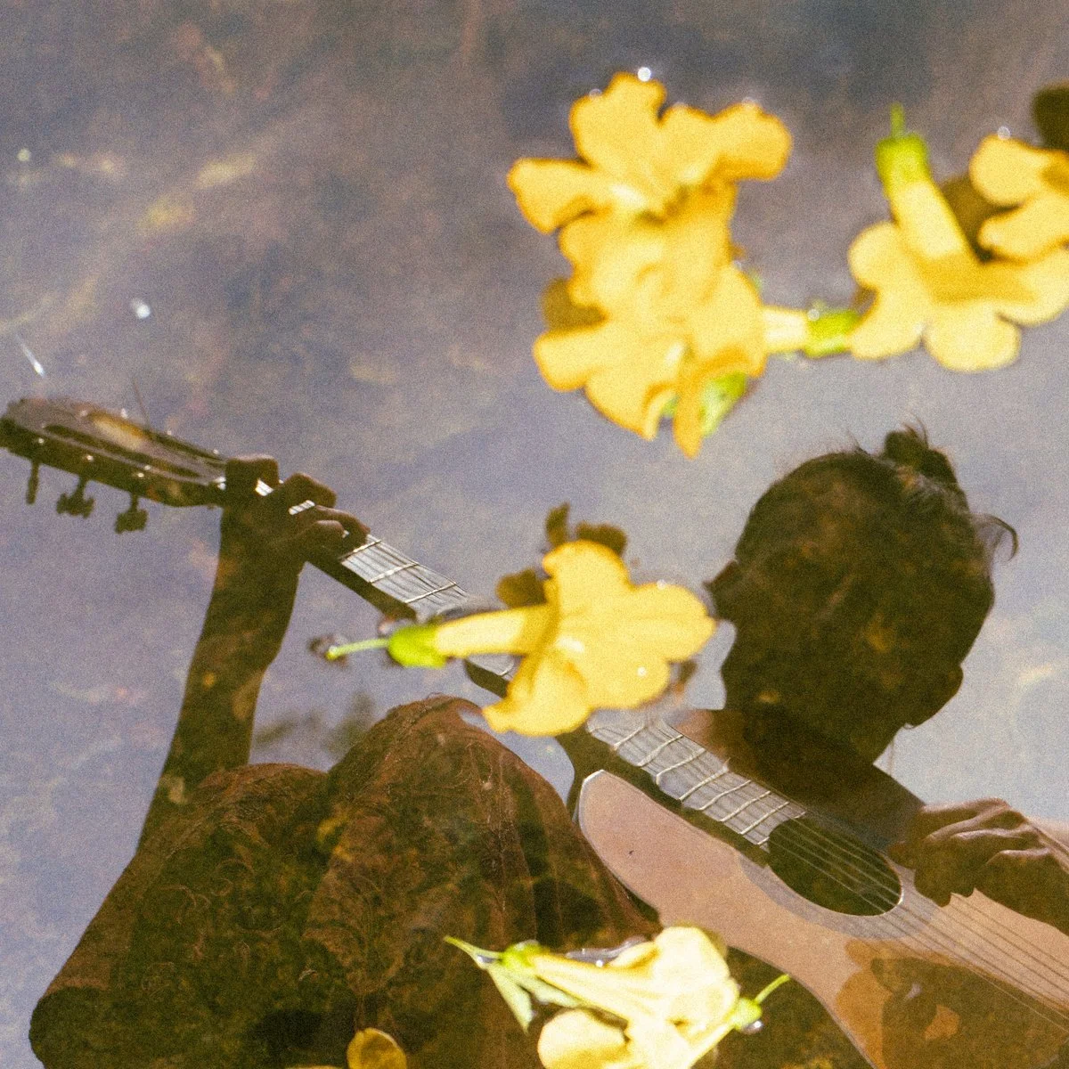 Reflection of a person playing acoustic guitar in water with floating yellow flowers.