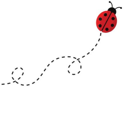 A cartoon ladybug with a dotted flight trail.