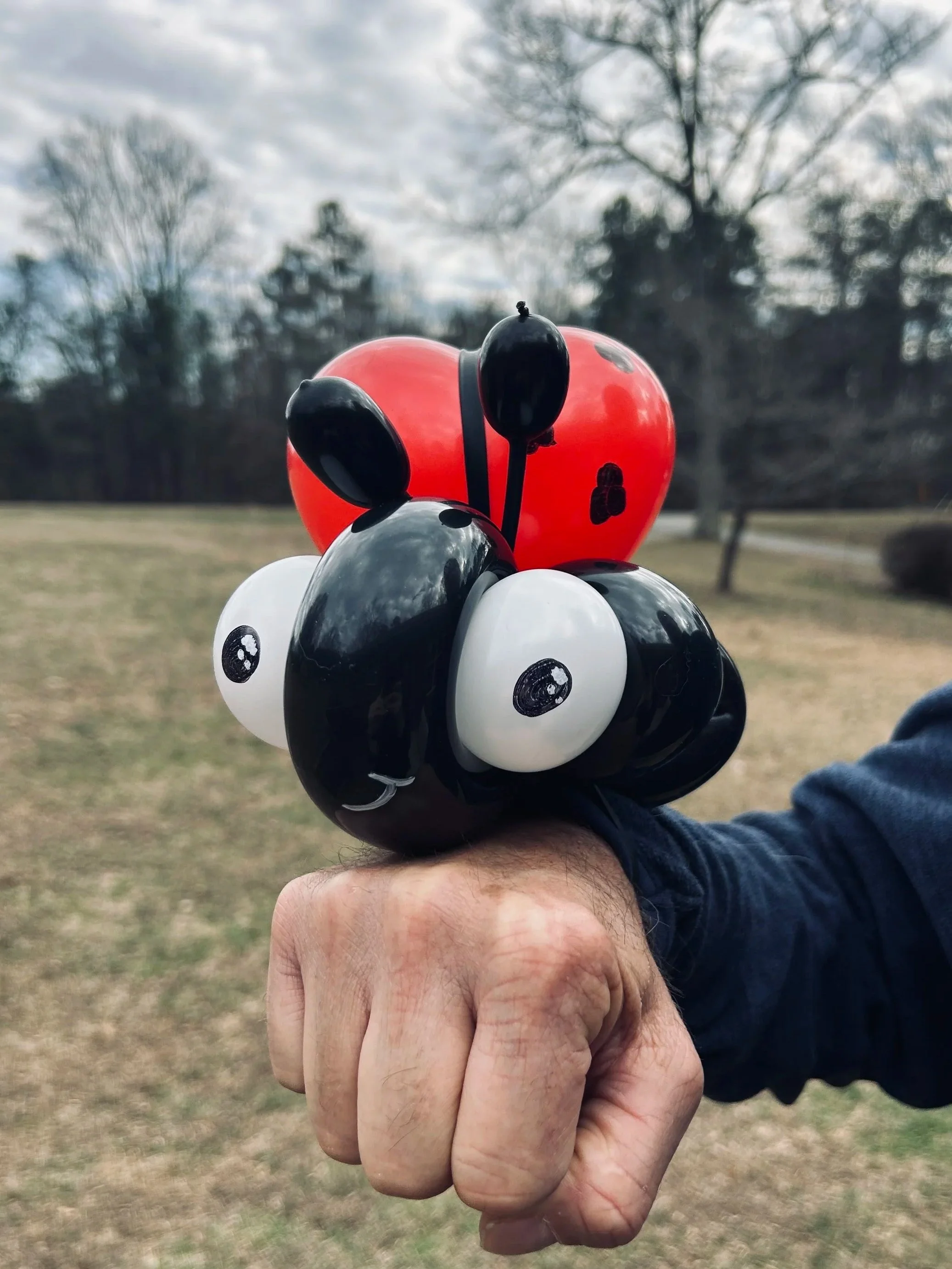 Ladybug balloon sculpture created by balloon artist.