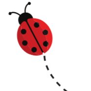Red ladybug with black spots crawling on a white background.