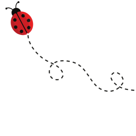 Cartoon ladybug with a dotted flight path on a white background.