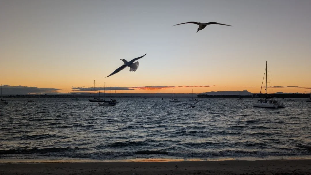 REFLECTIVE INSIGHT #029 - NGĀPUHI CAN RECLAIM OUR ECONOMIC SOVEREIGNTY WITHOUT ACCEPTING A CENT FROM THE GOVERNMENT