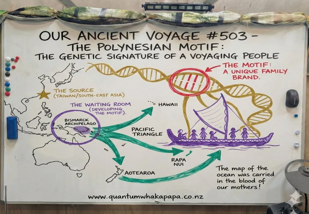 OUR ANCIENT VOYAGE #503 - THE POLYNESIAN MOTIF: THE GENETIC SIGNATURE OF A VOYAGING PEOPLE