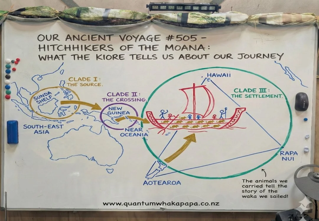 OUR ANCIENT VOYAGE #505 - HITCHHIKERS OF THE MOANA: WHAT THE KIORE TELLS US ABOUT OUR JOURNEY