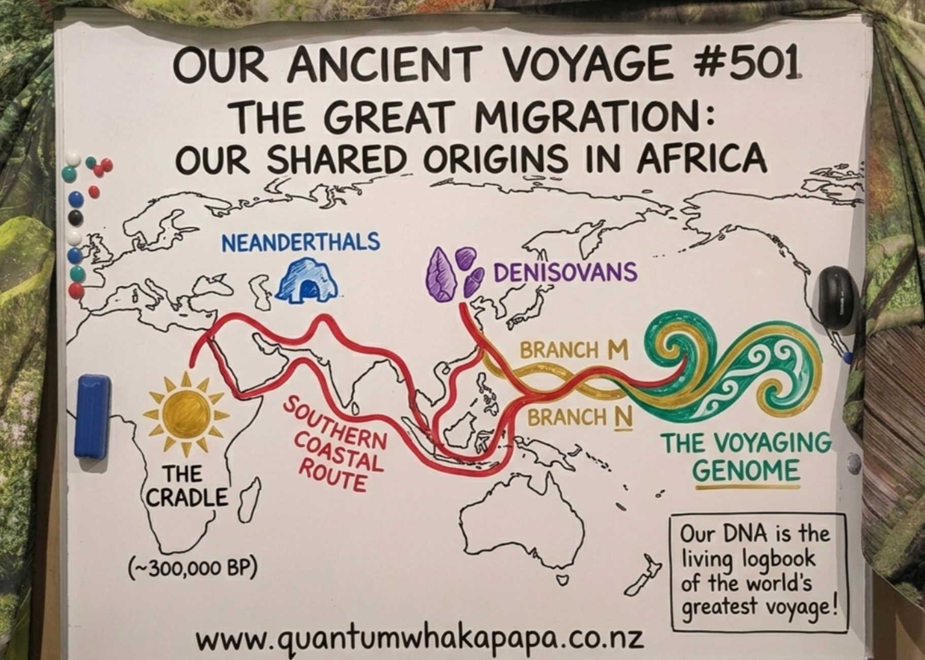 OUR ANCIENT VOYAGE #501 - THE GREAT MIGRATION: OUR SHARED ORIGINS IN AFRICA
