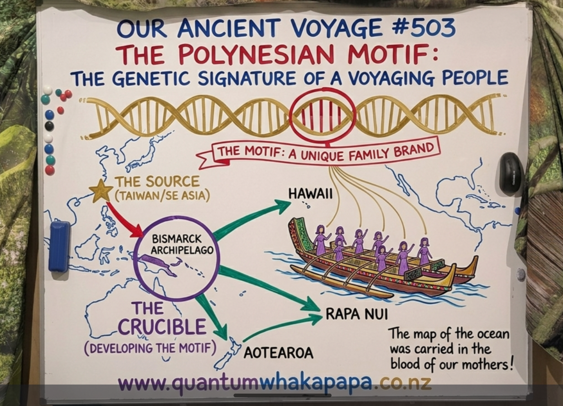 OUR ANCIENT VOYAGE #503 - THE POLYNESIAN MOTIF: THE GENETIC SIGNATURE OF A VOYAGING PEOPLE