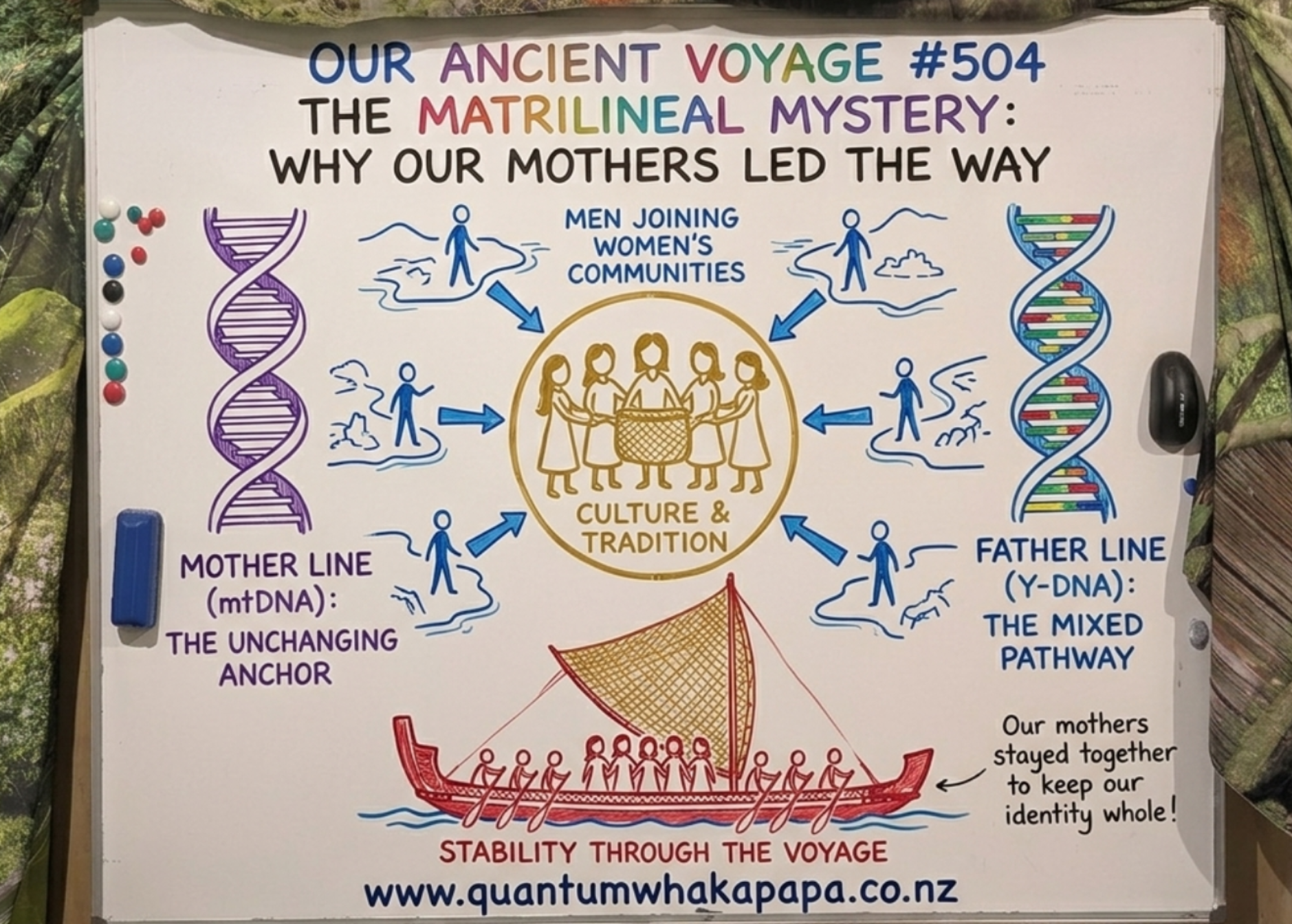 OUR ANCIENT VOYAGE #504 - THE MATRILINEAL MYSTERY: WHY OUR MOTHERS LED THE WAY