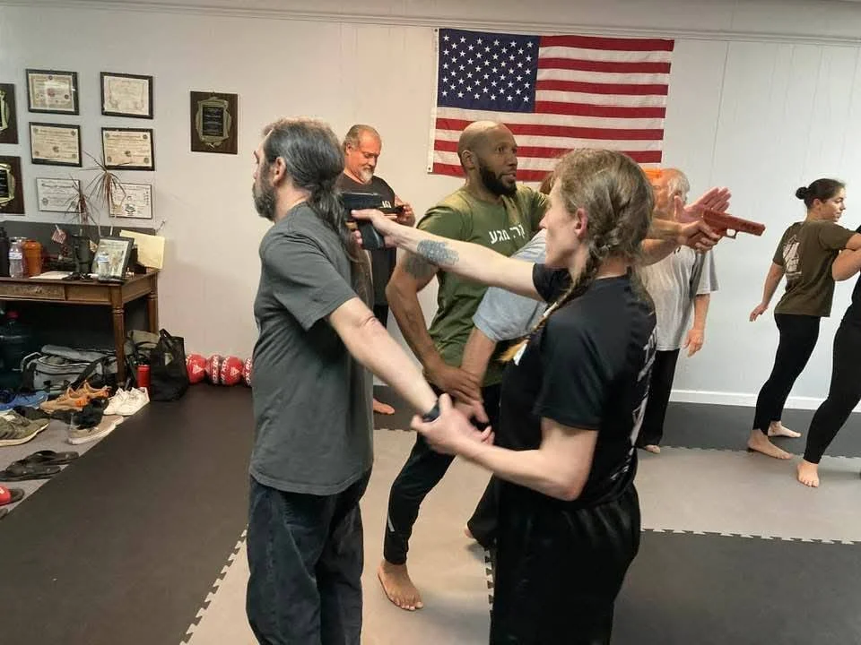 Krav Maga / Sanda Kickboxing (Monthly)