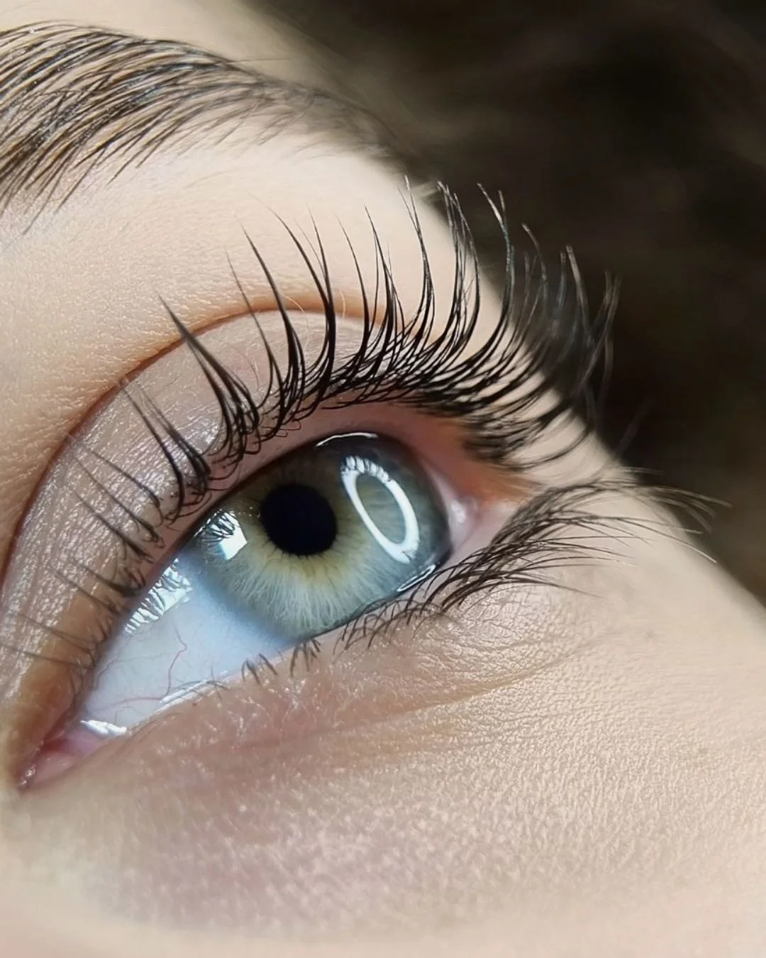 Lash lift and tint result, OneSixteen Studio Langford BC